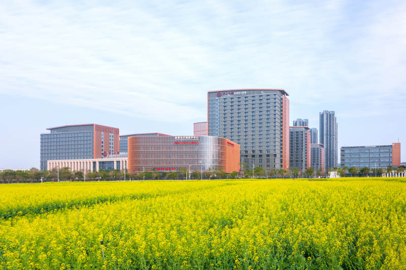 花海映高楼图片