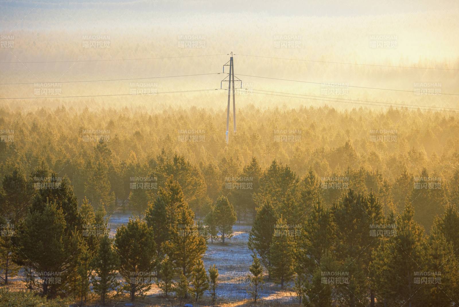 晨雾森林电塔图片