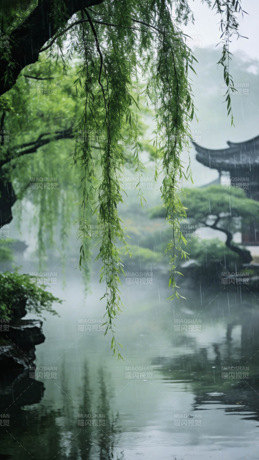 雨中柳影静谧图片