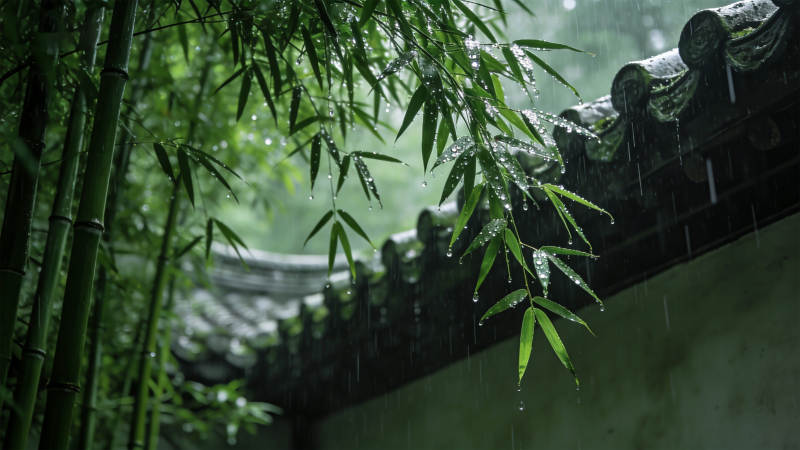 竹林雨景图片