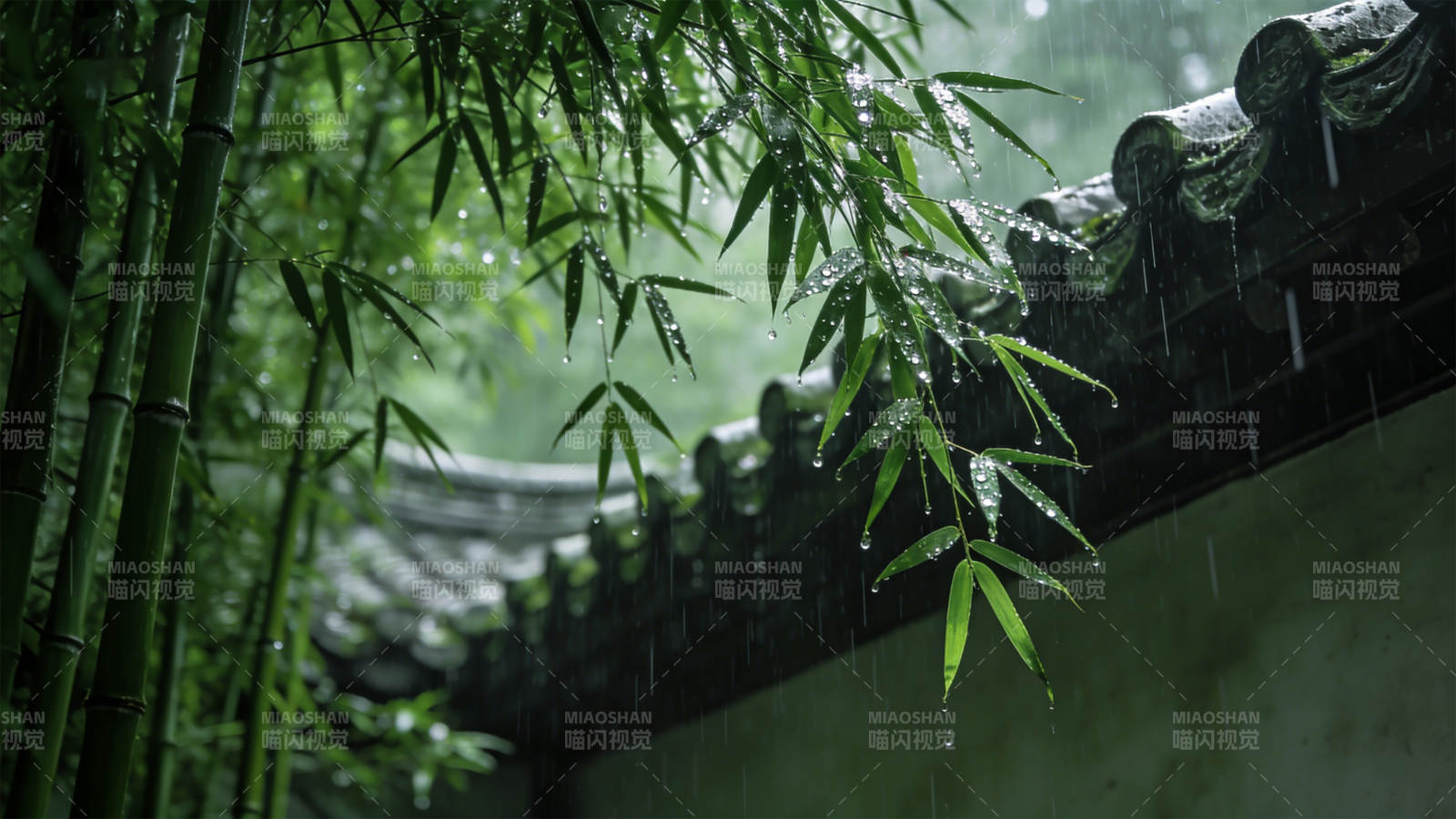 竹林雨景图片