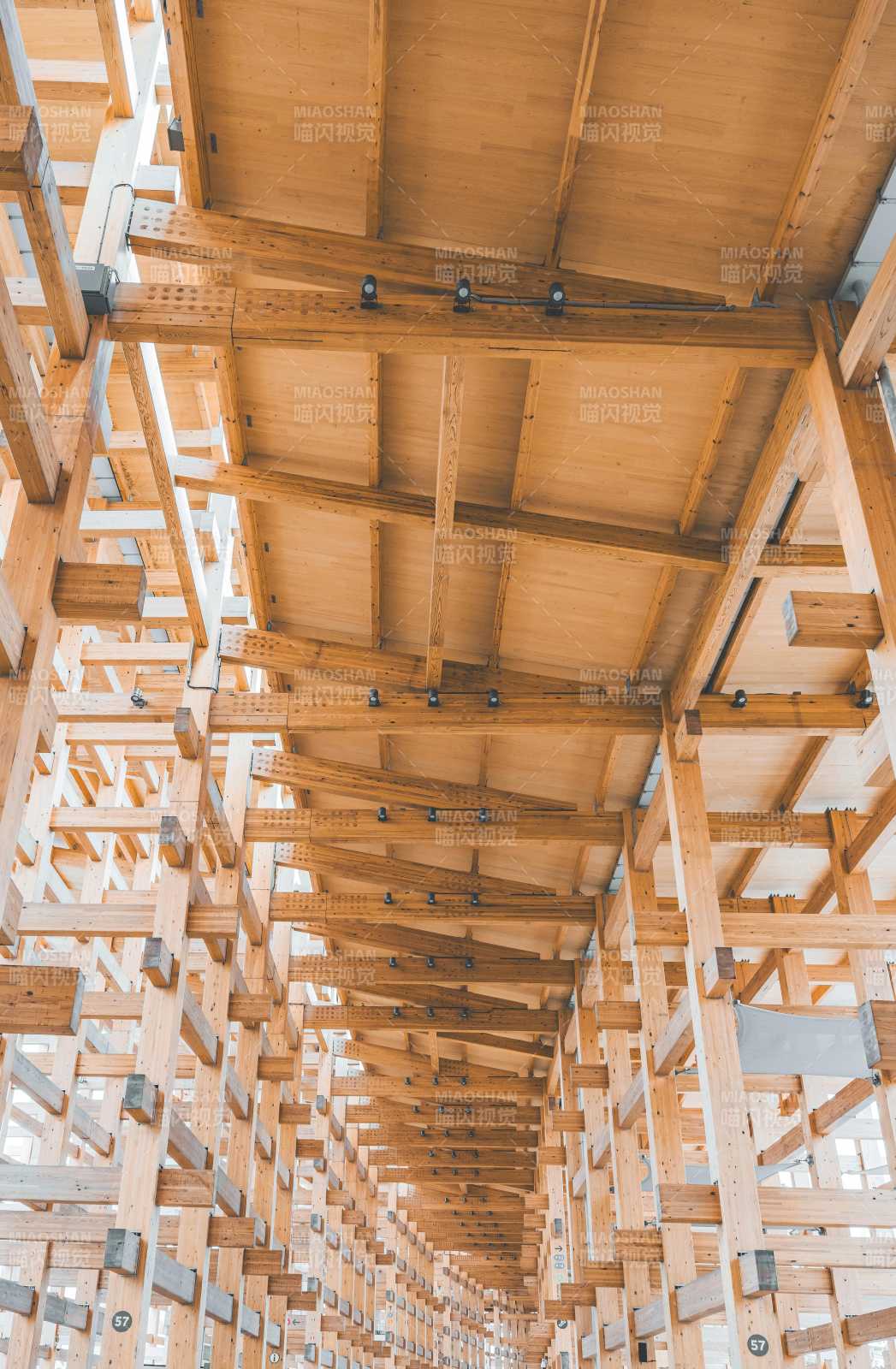 日本木构穹顶之美图片