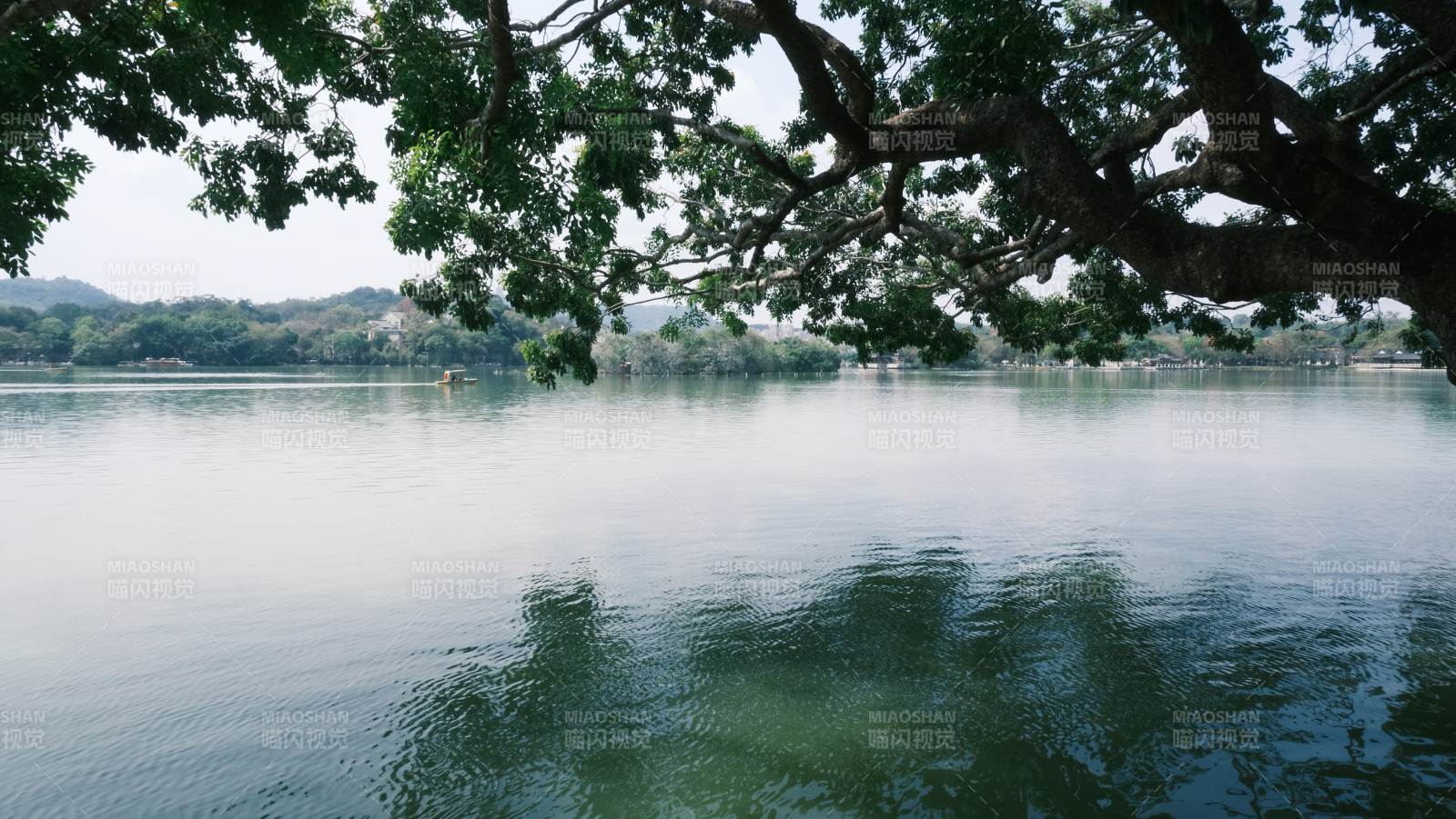 湖光树影静谧美图片