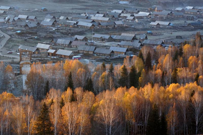 禾木秋林中的村落图片