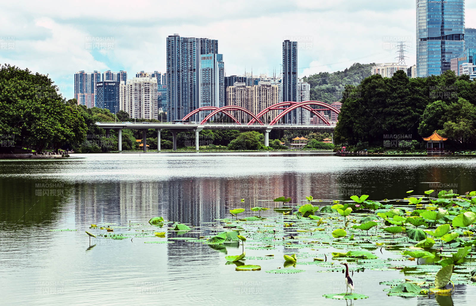 深圳城市景观图片
