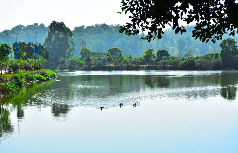 清晨乡村河畔风光图片