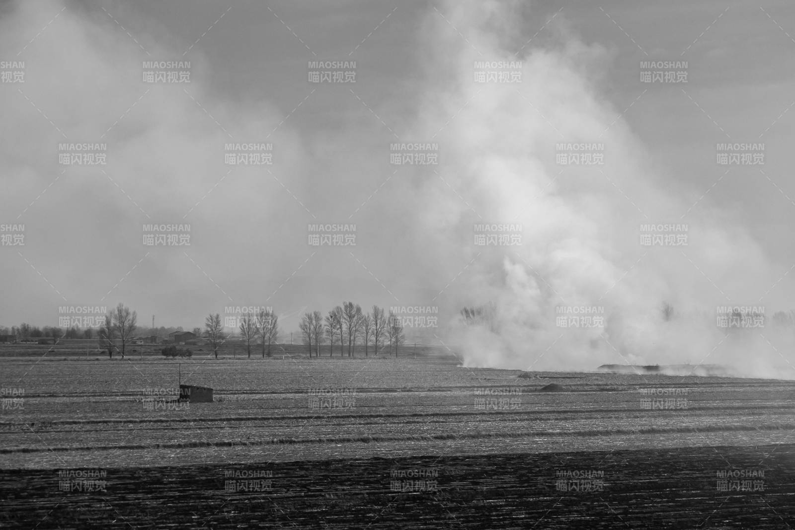 烟雾弥漫的田野图片
