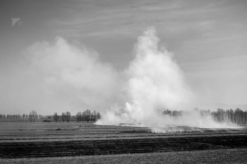 田野烟雾升腾图片