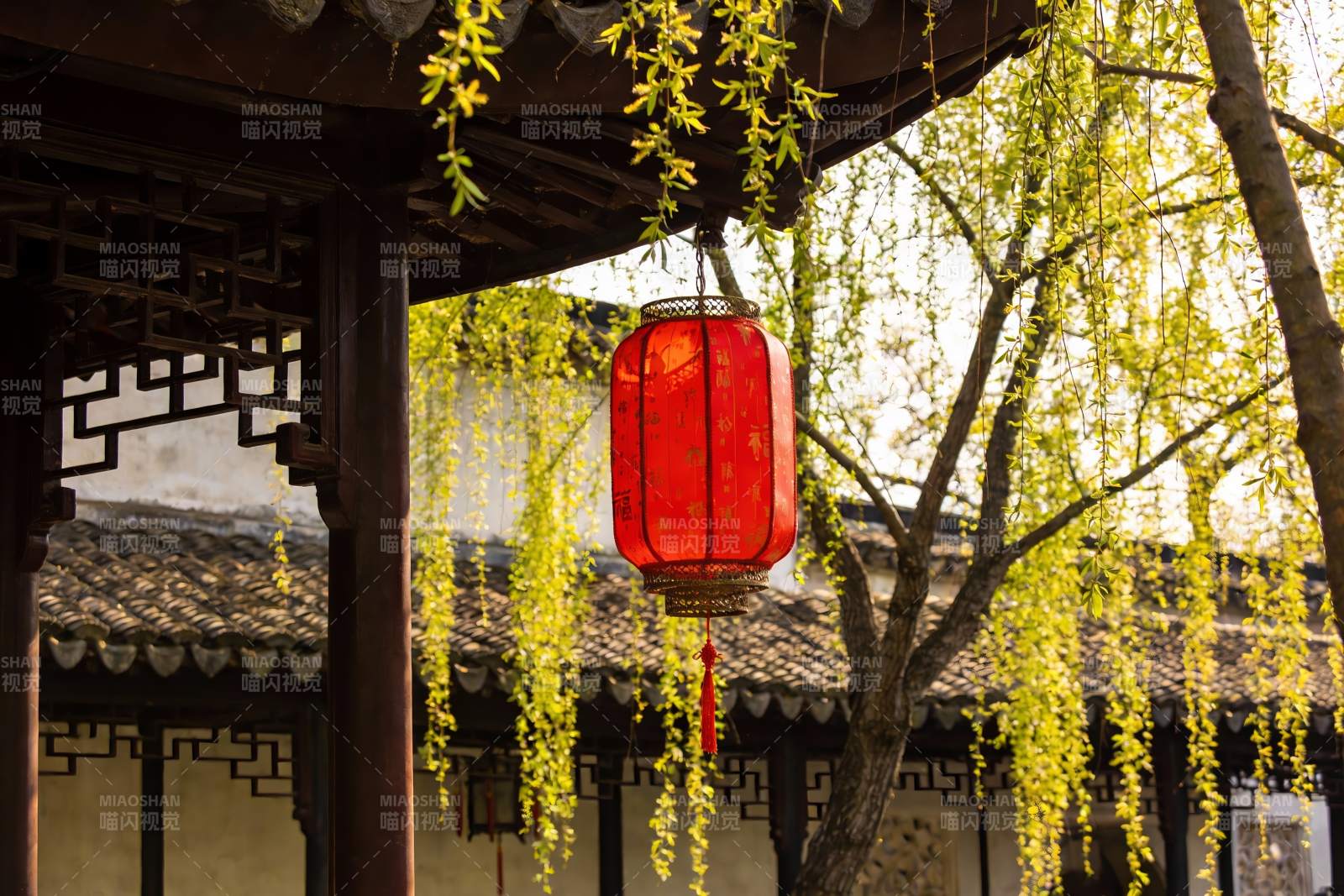 古建筑前红灯笼与垂柳图片