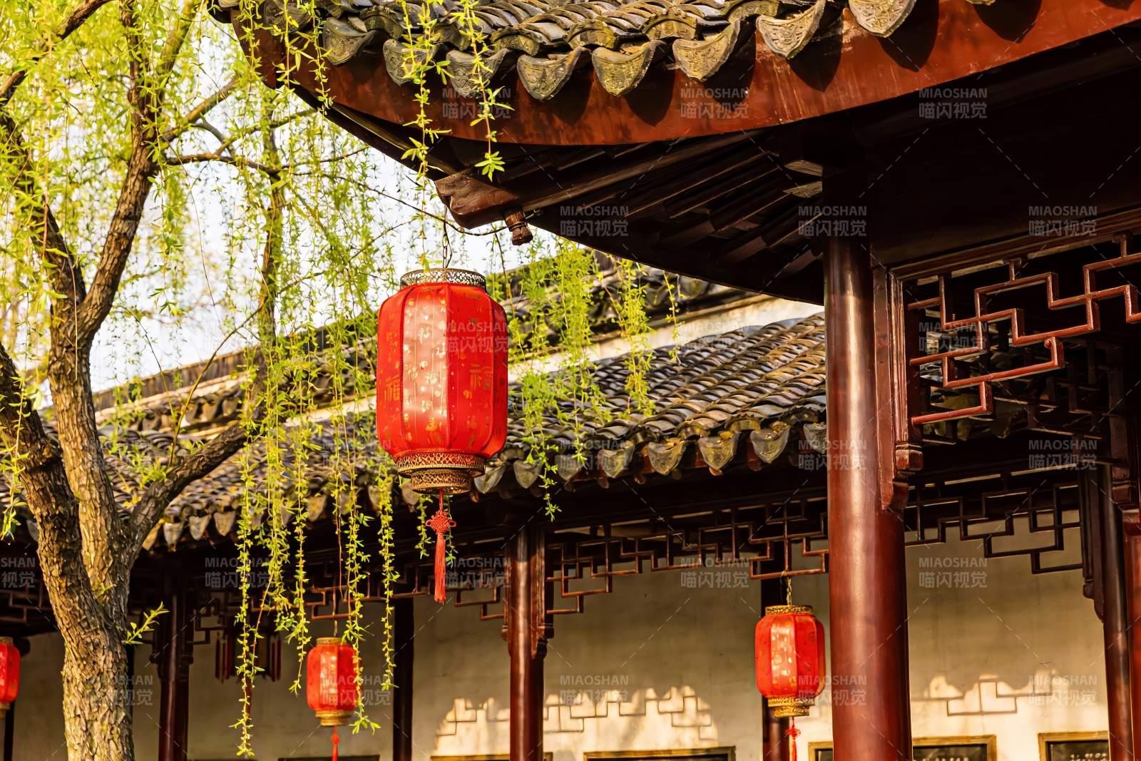 古建筑前红灯笼与垂柳图片