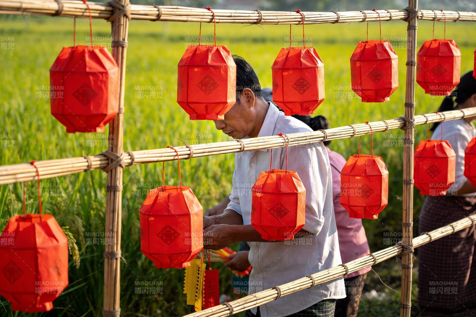 田间竹架挂红灯笼图片