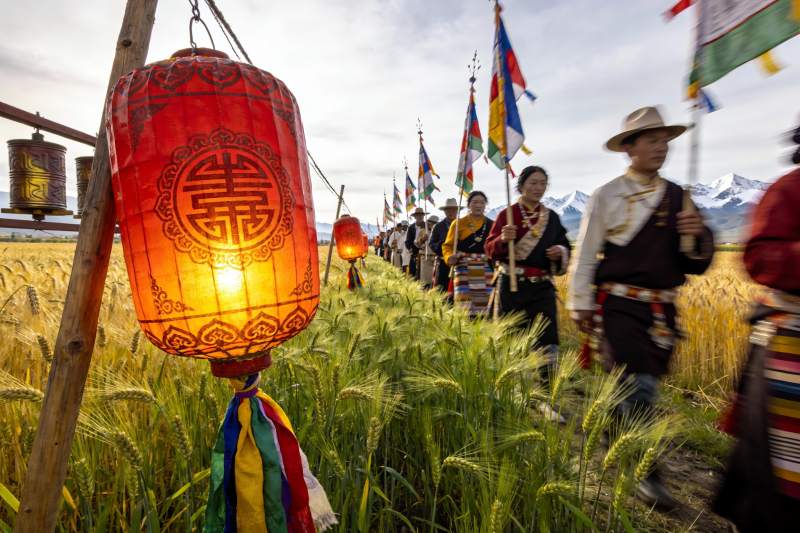 身着民族服饰的人群行进于麦田图片