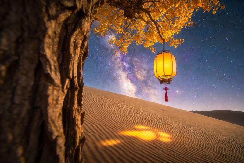 沙漠夜空树灯奇景图片