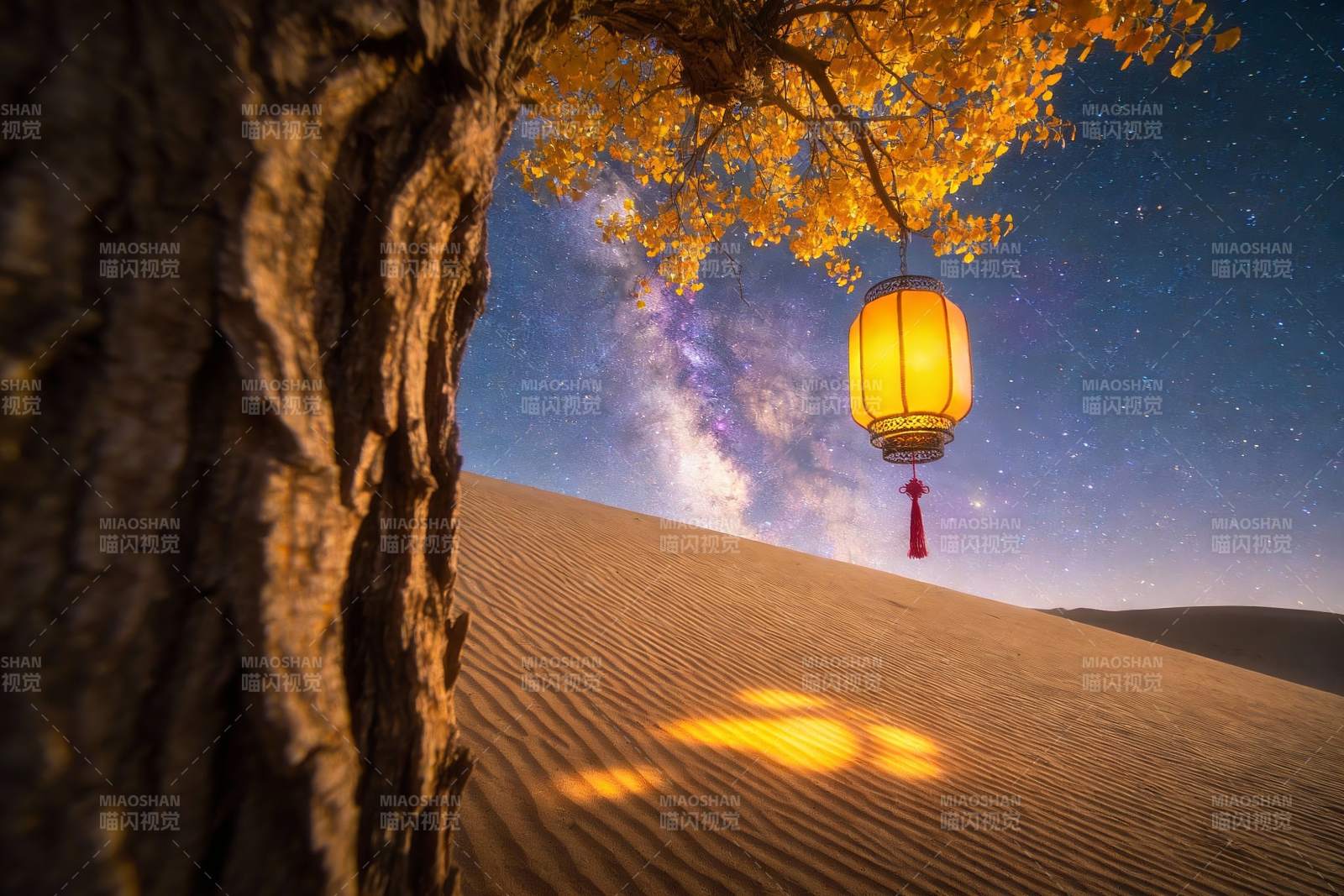 沙漠夜空树灯奇景图片