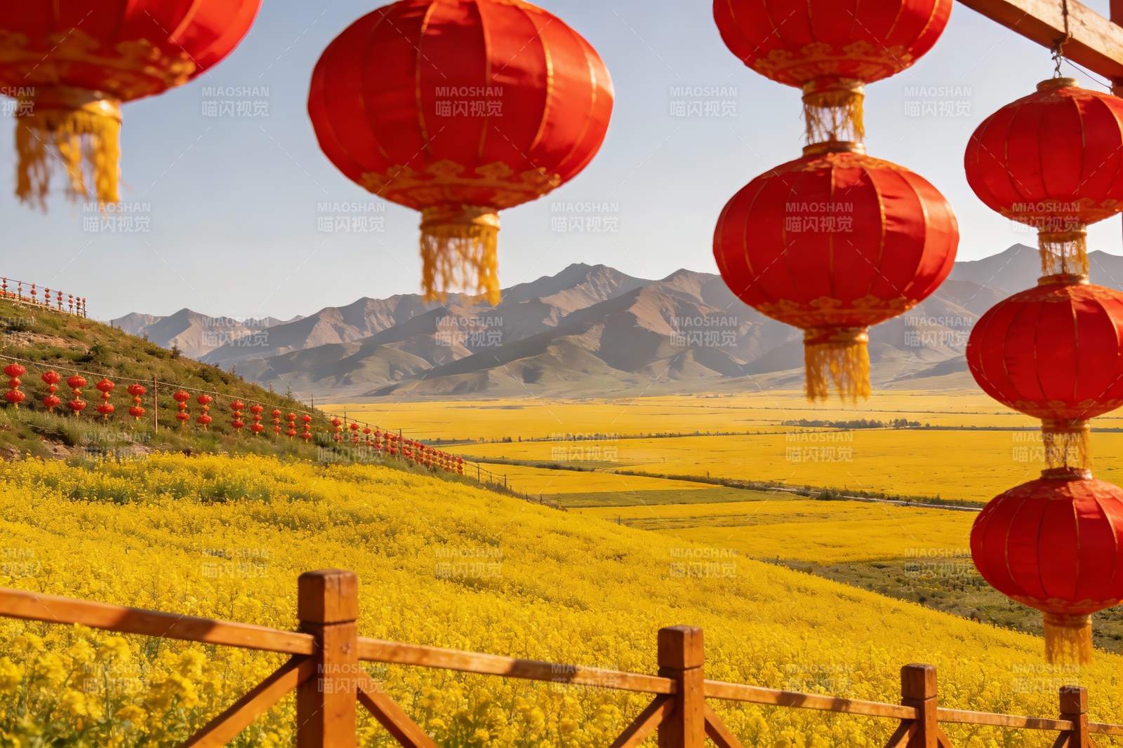 红灯笼映衬金黄花海图片