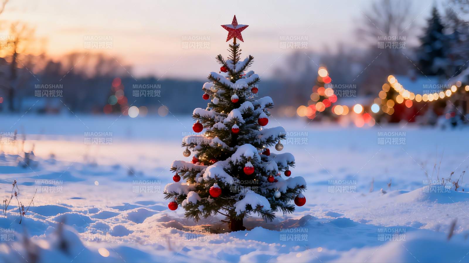 雪地圣诞树夜景图片