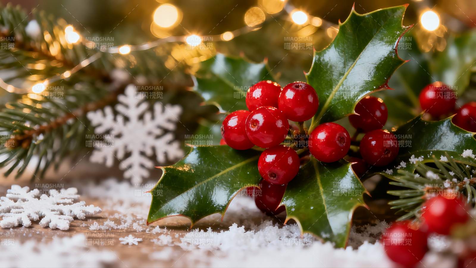 圣诞红果绿叶雪景图片