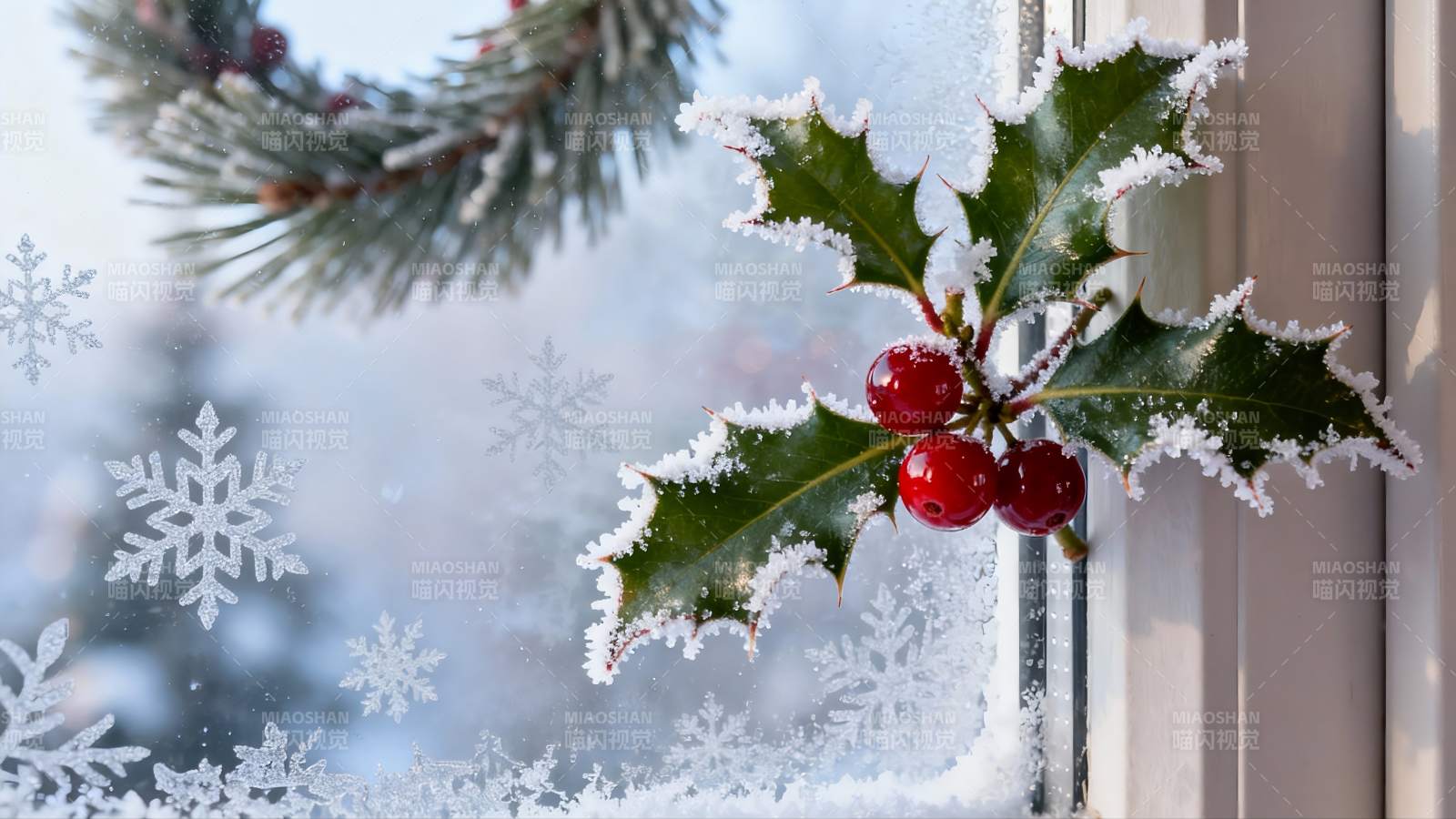 窗边雪覆冬青红果图片