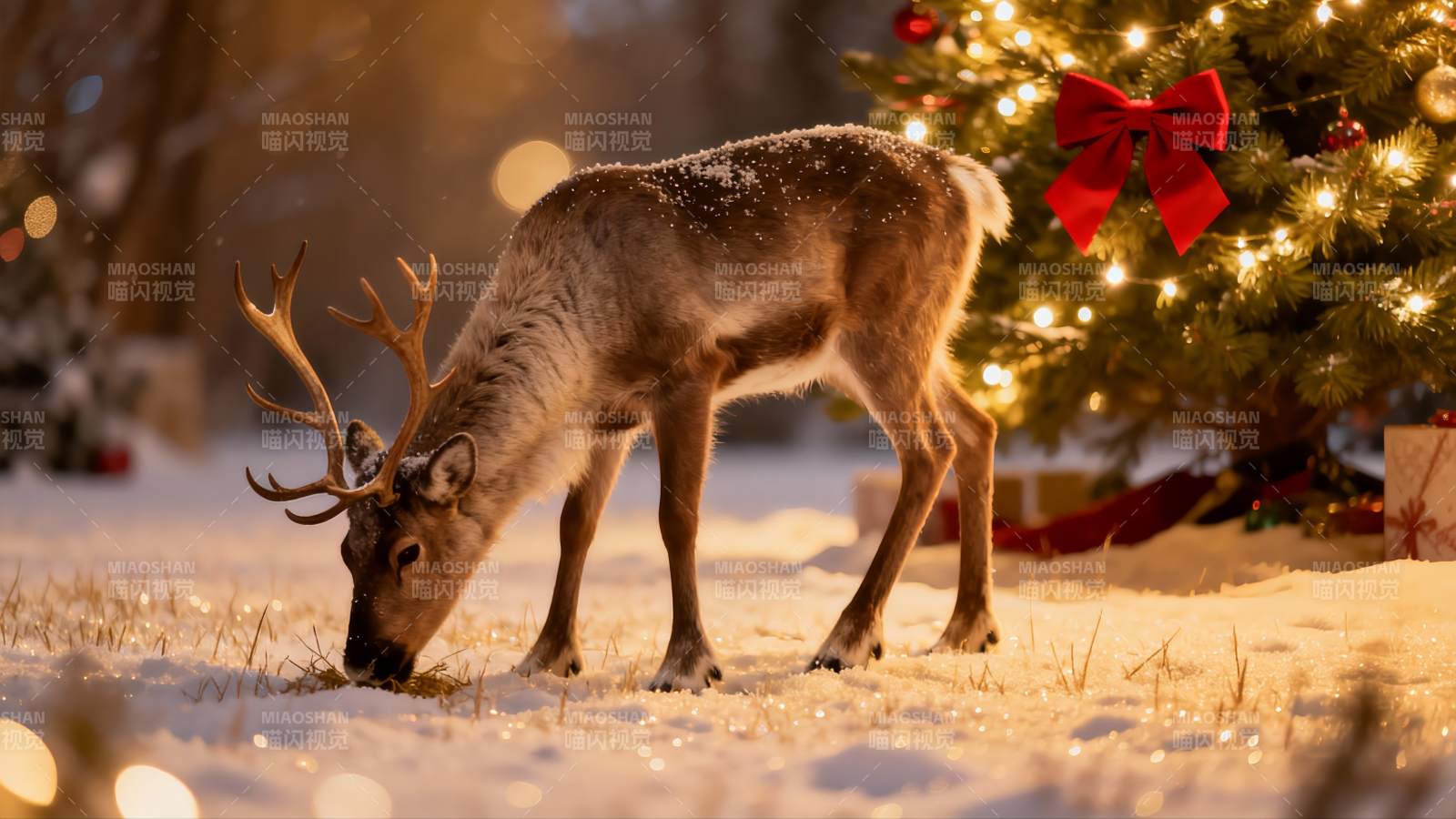 雪地驯鹿圣诞树旁觅食图片