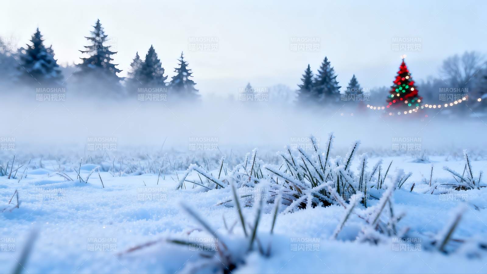 雪地圣诞树雾气弥漫冬日景象图片