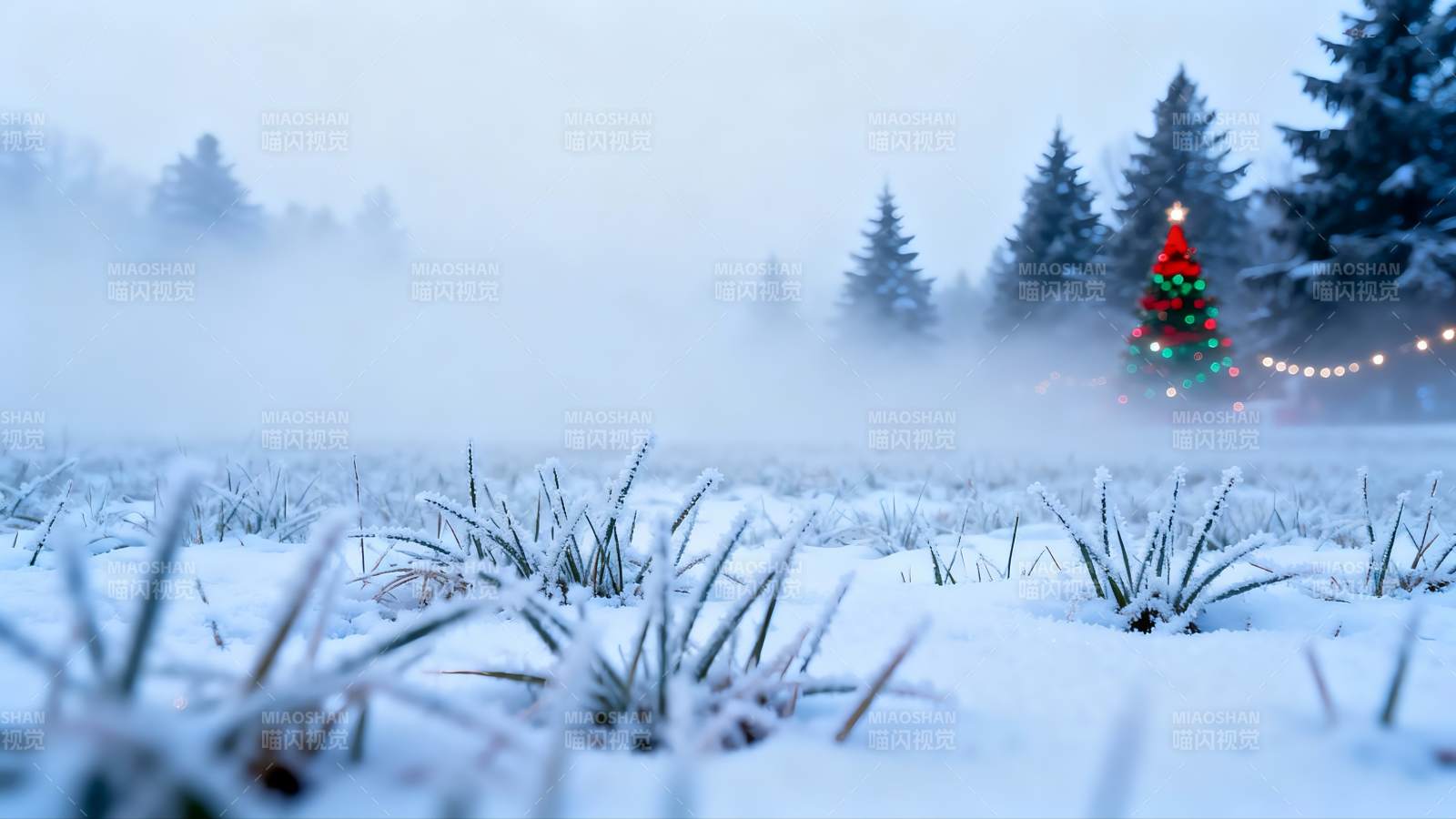 雪地圣诞树雾气弥漫图片