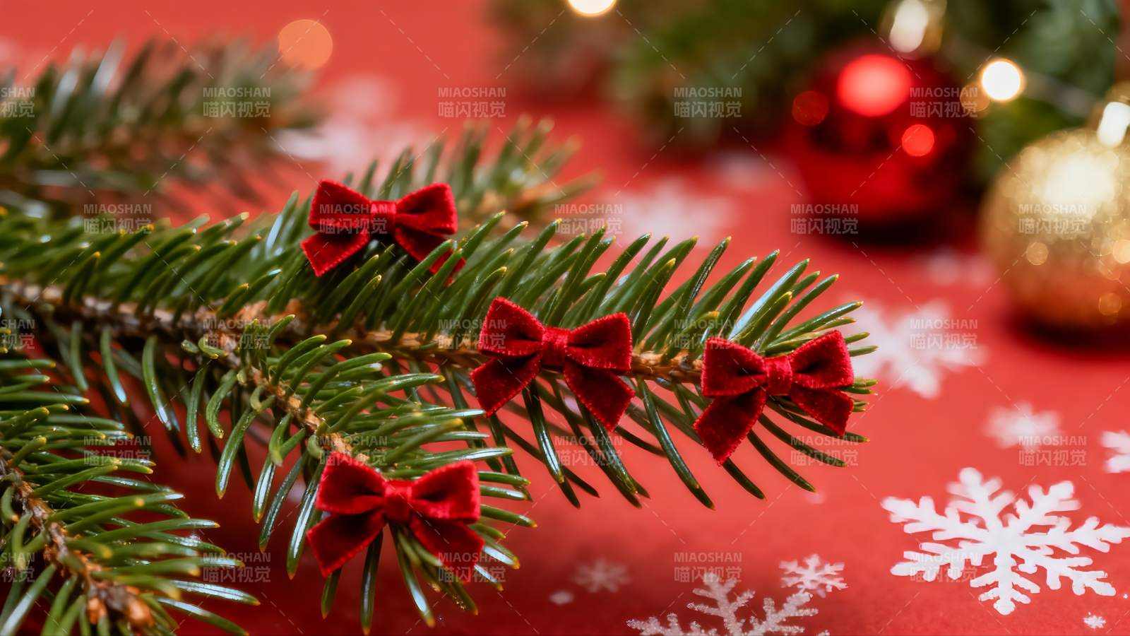 圣诞松枝系红蝴蝶结图片