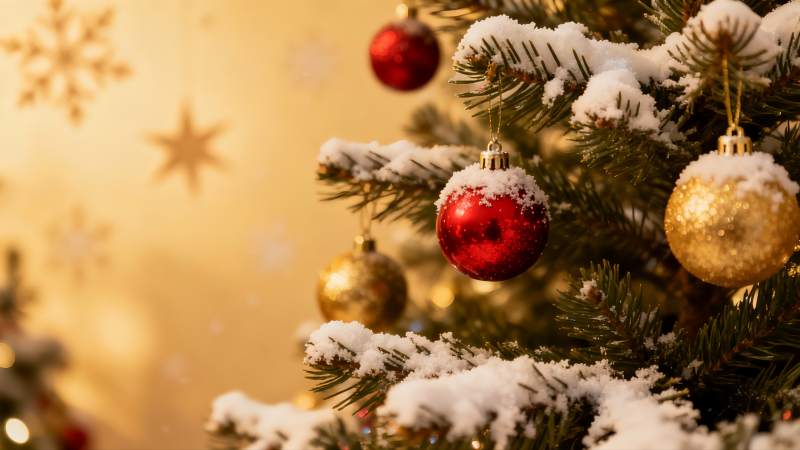 雪覆圣诞树挂饰特写图片