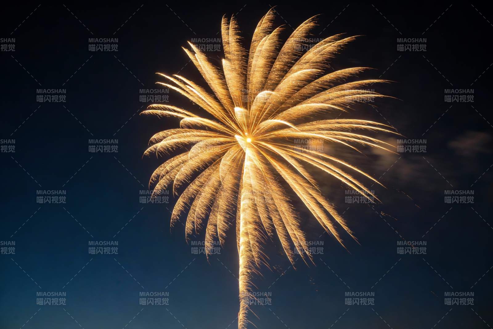 夜空中绽放的金色烟花图片