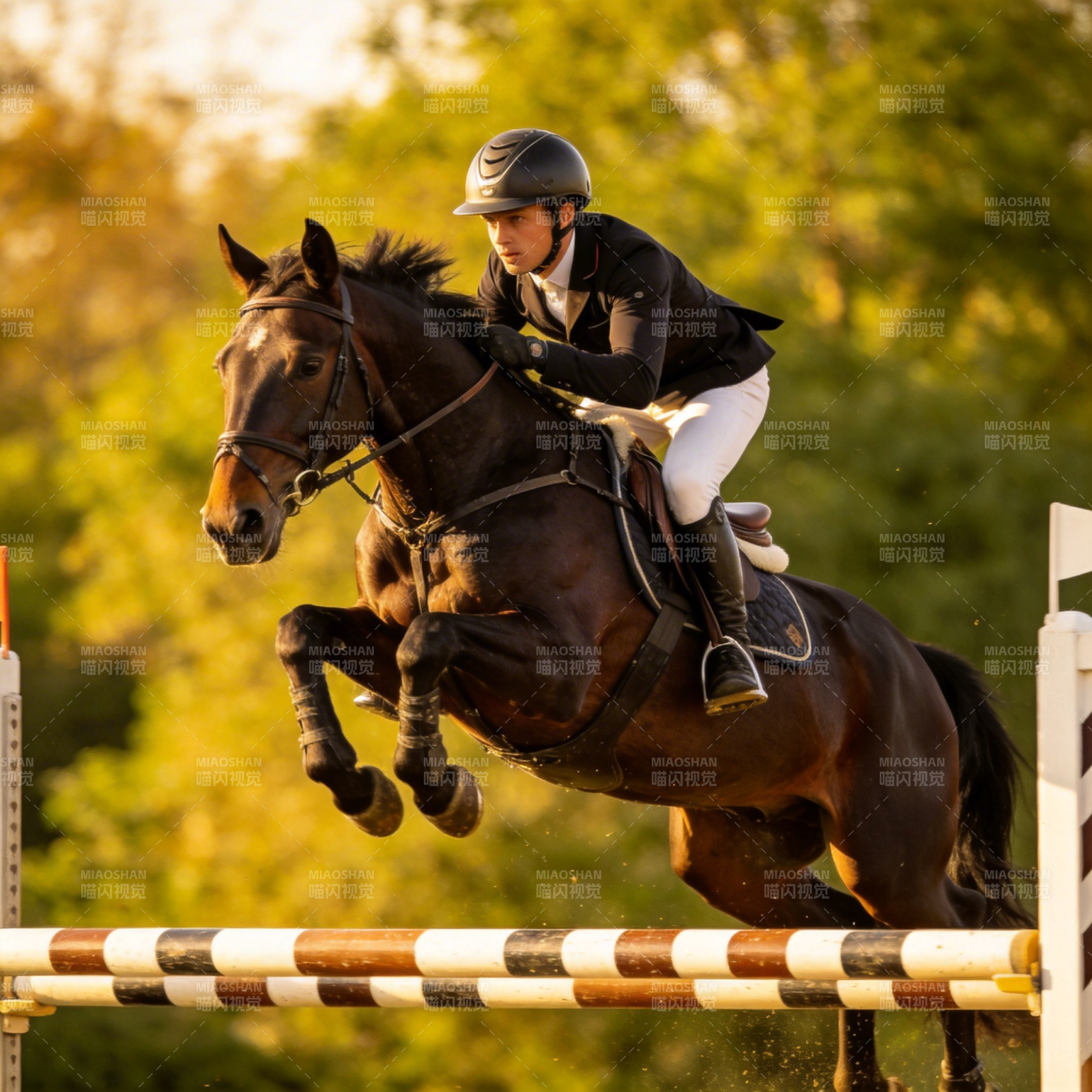 骏马飞跃障碍图片