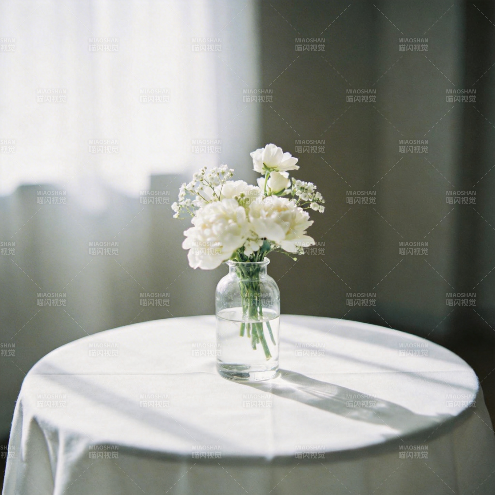 白花静谧时光图片