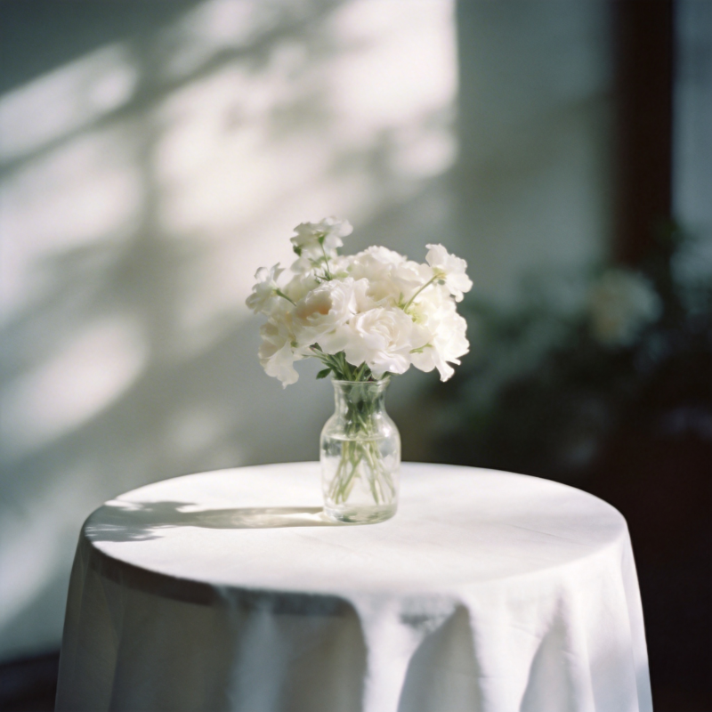 白花静谧时光图片