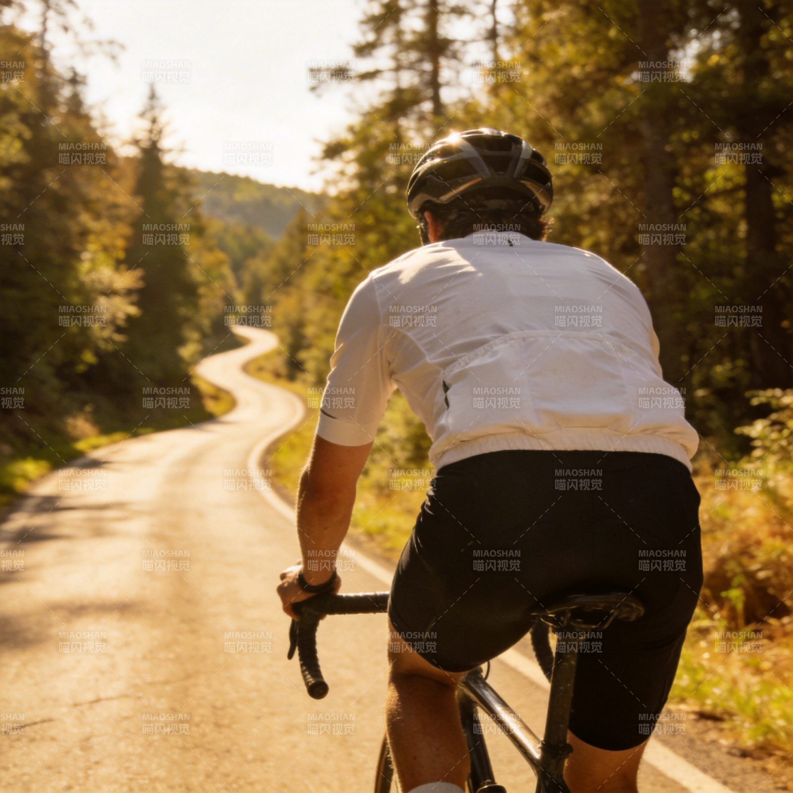 林间骑行图片