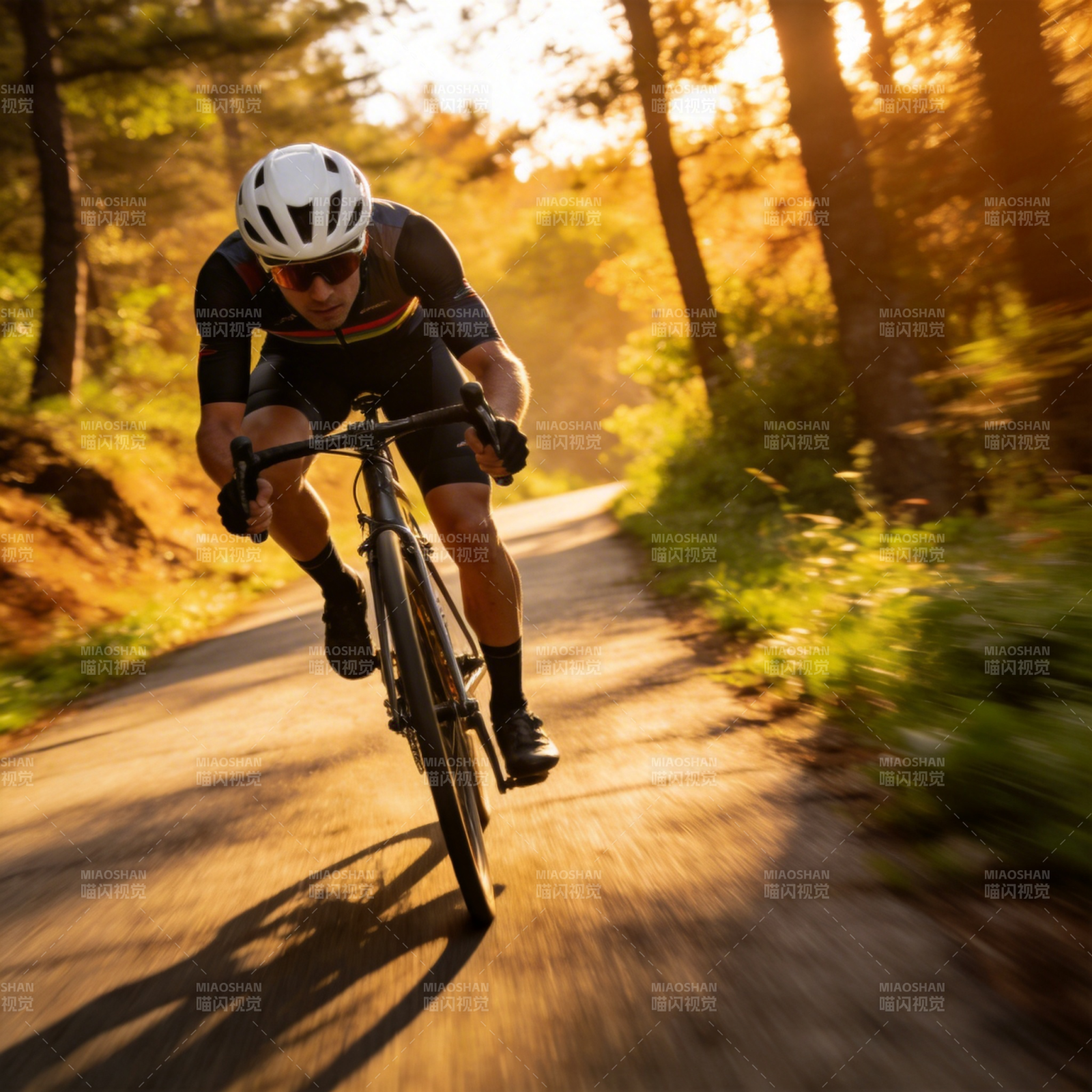 林间骑行 追光而行图片