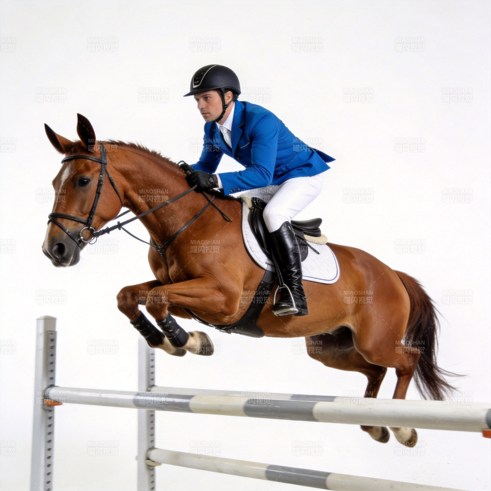 马术飞跃瞬间图片