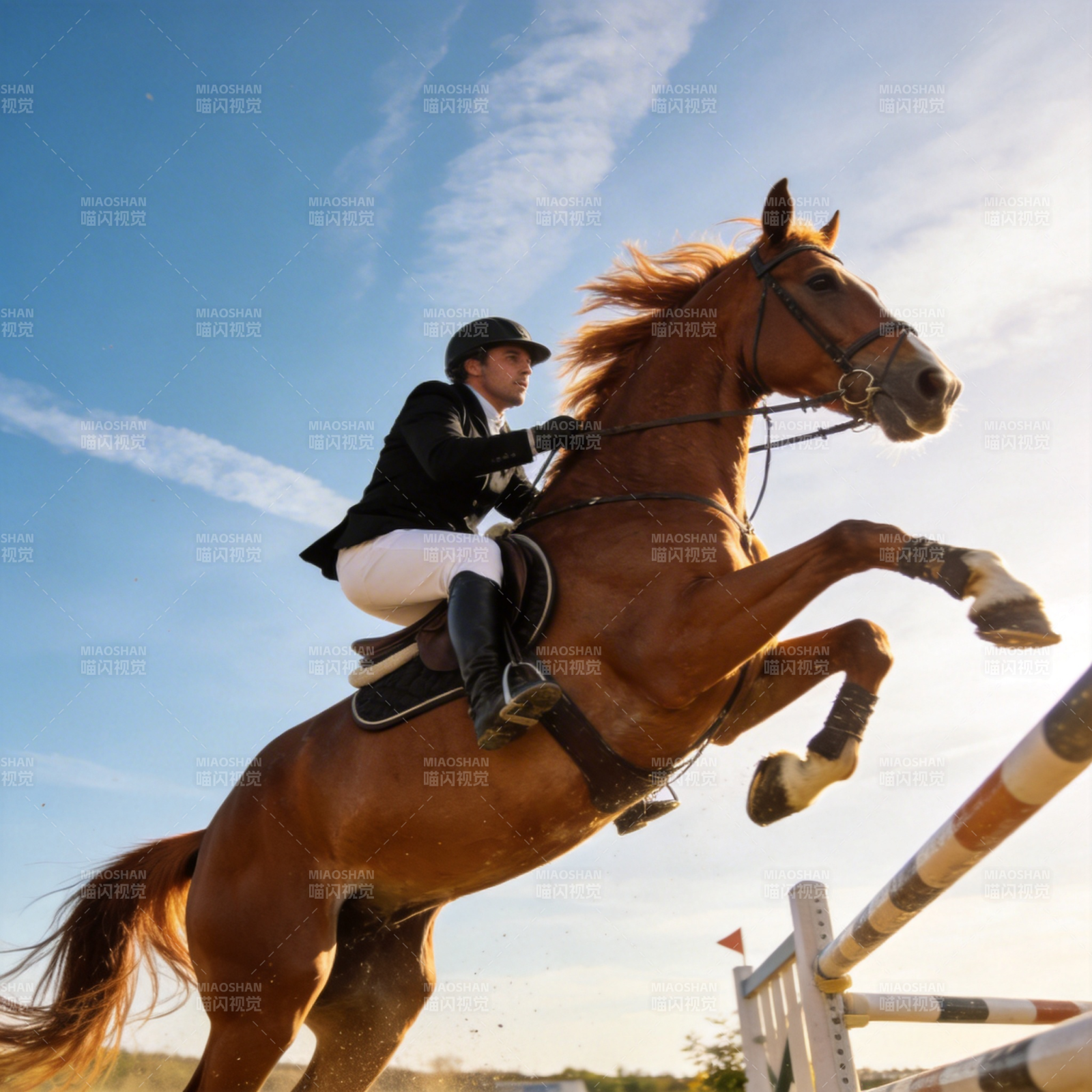 骏马飞跃障碍图片