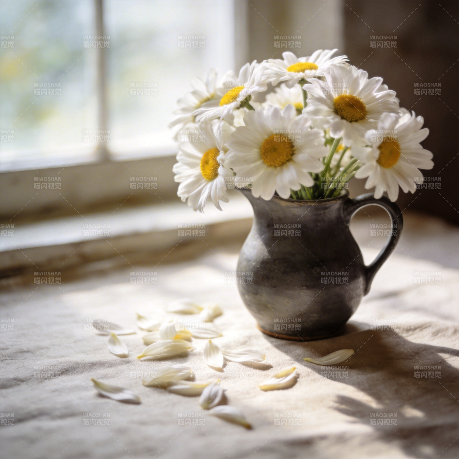 窗边雏菊静谧绽放图片