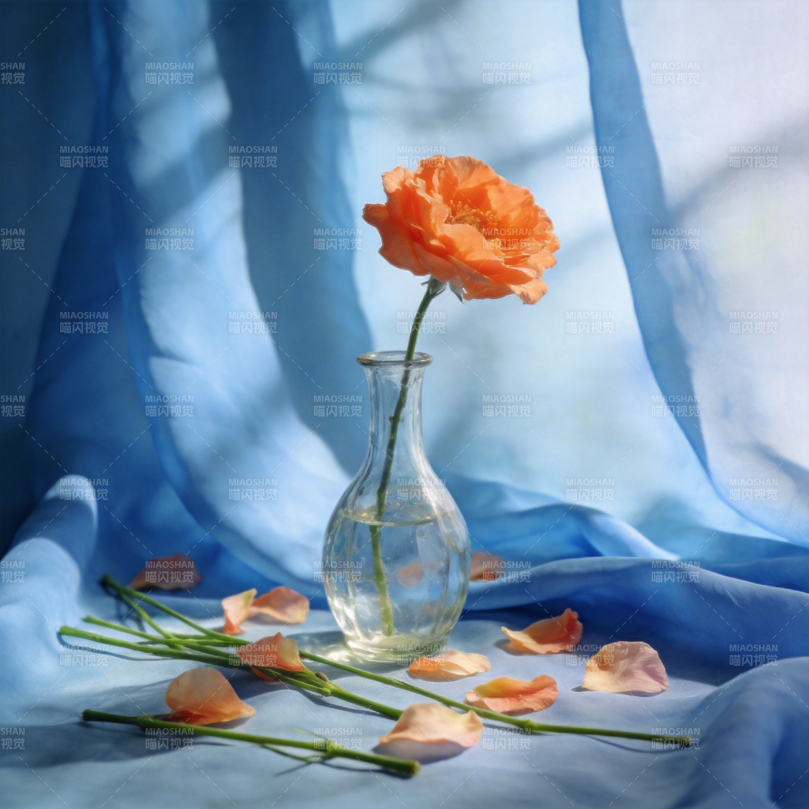 橙花静谧蓝幕图片
