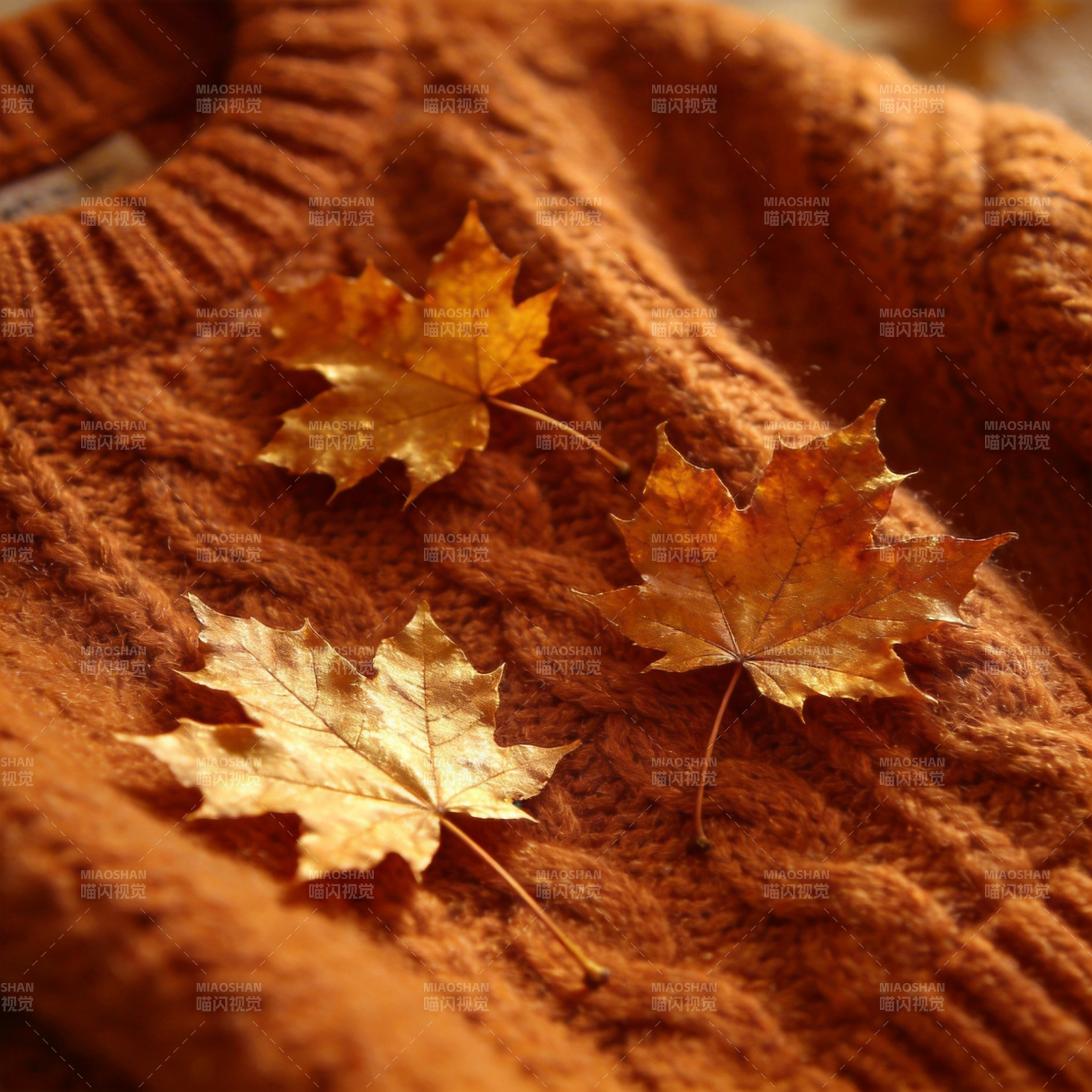 秋叶与毛衣图片