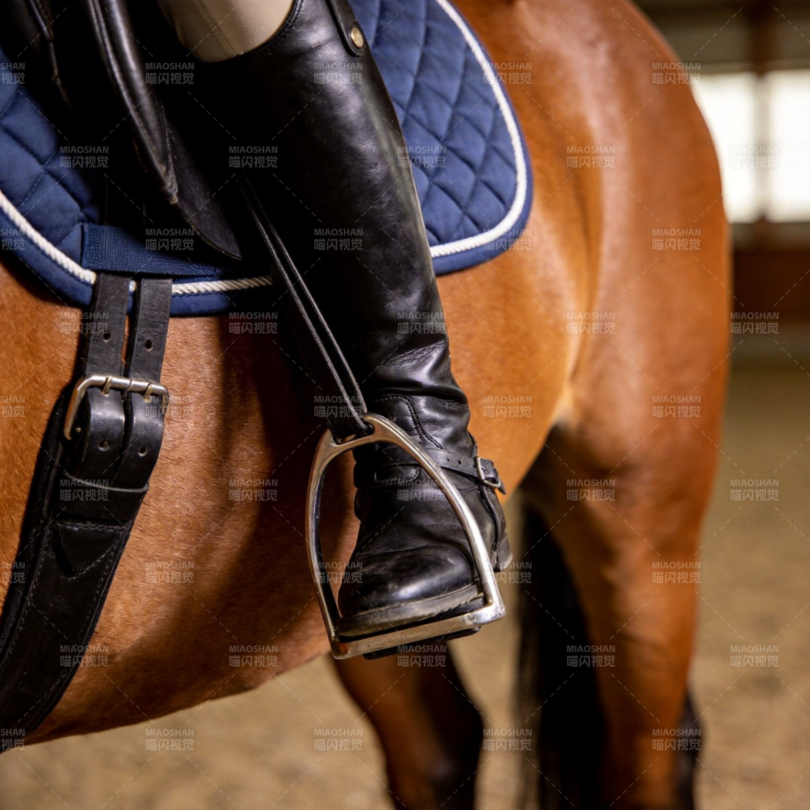 骑马者脚踏马镫图片