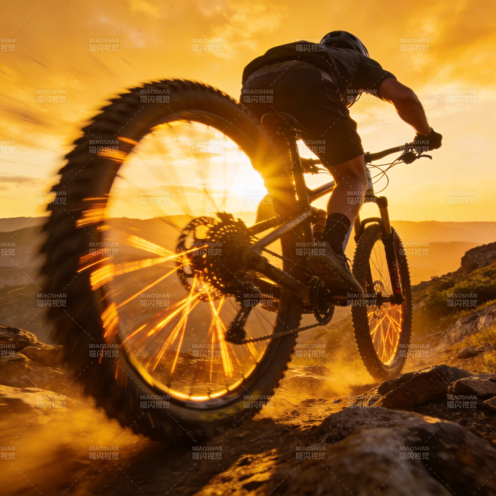 日落骑行图片