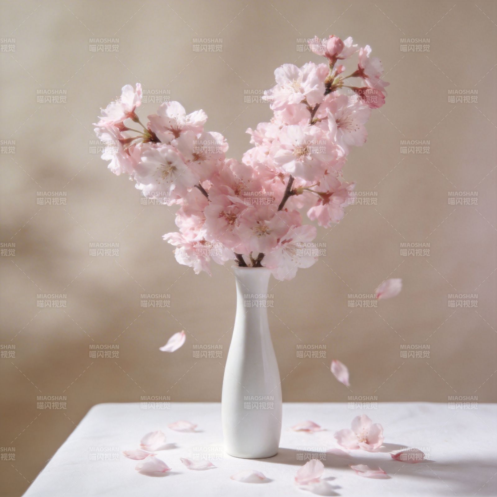 樱花绽放 春意盎然图片