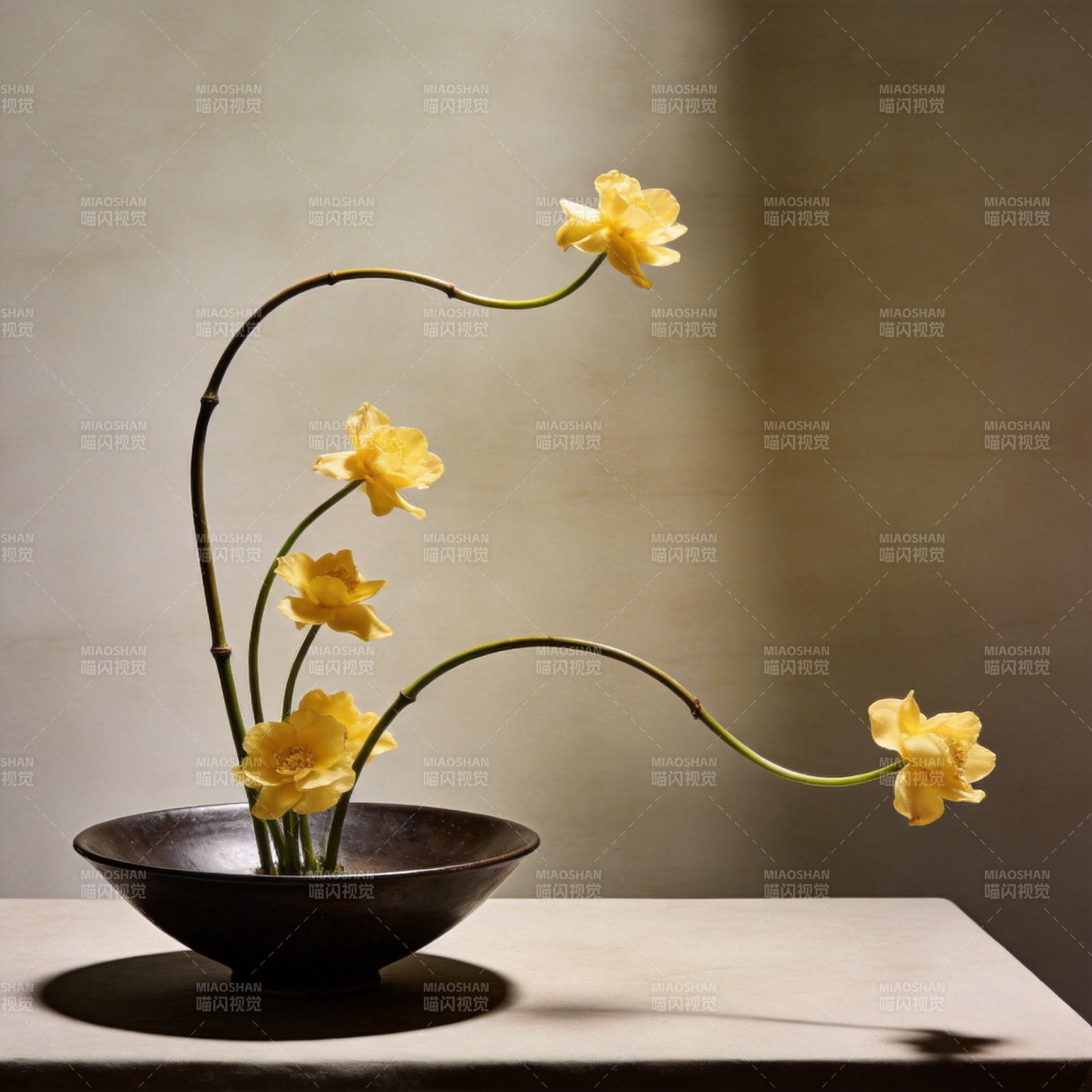 黄花雅致静物图片