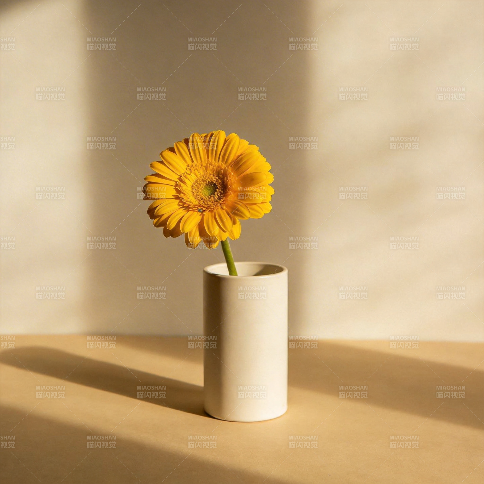 向日葵静物图片