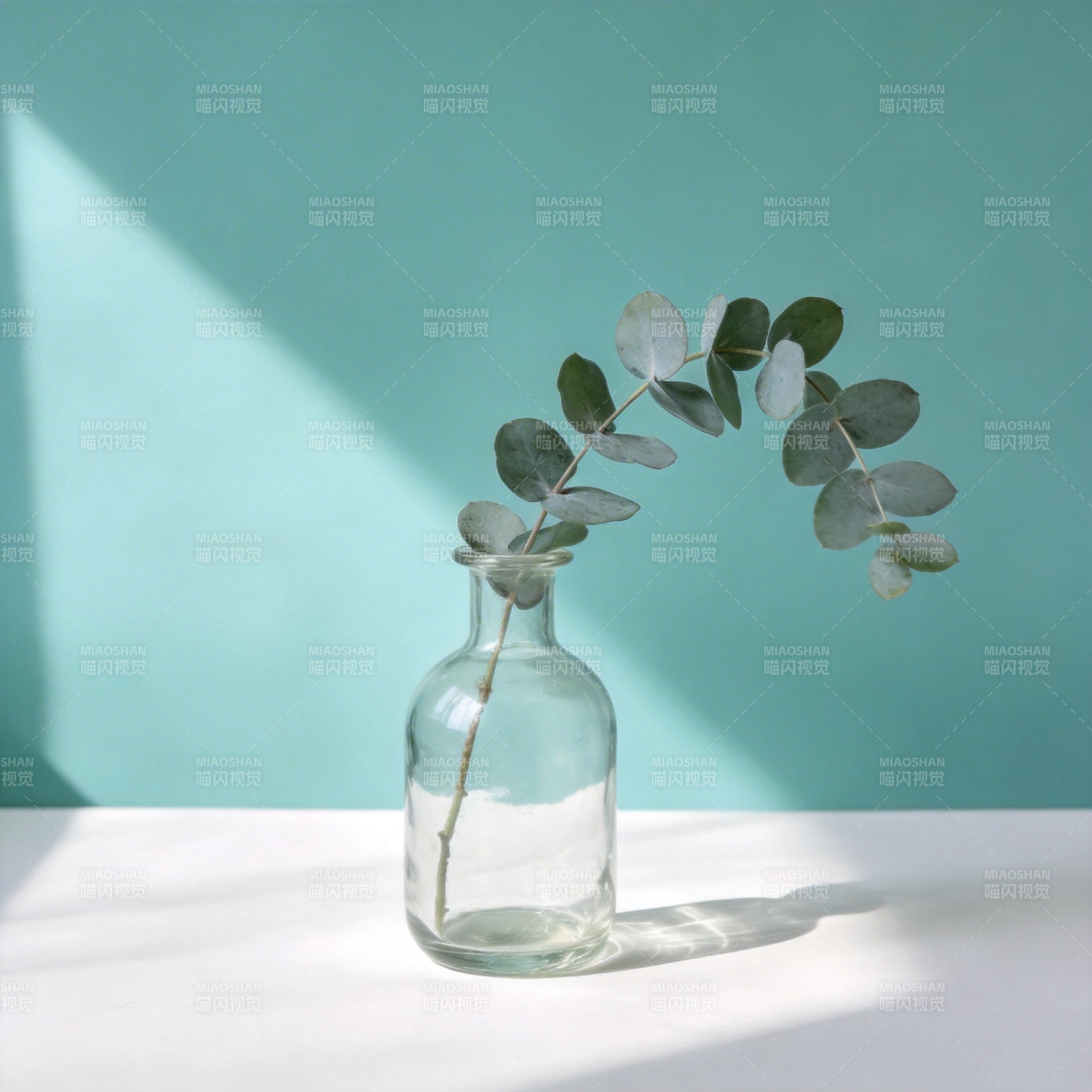 绿叶静物光影图片