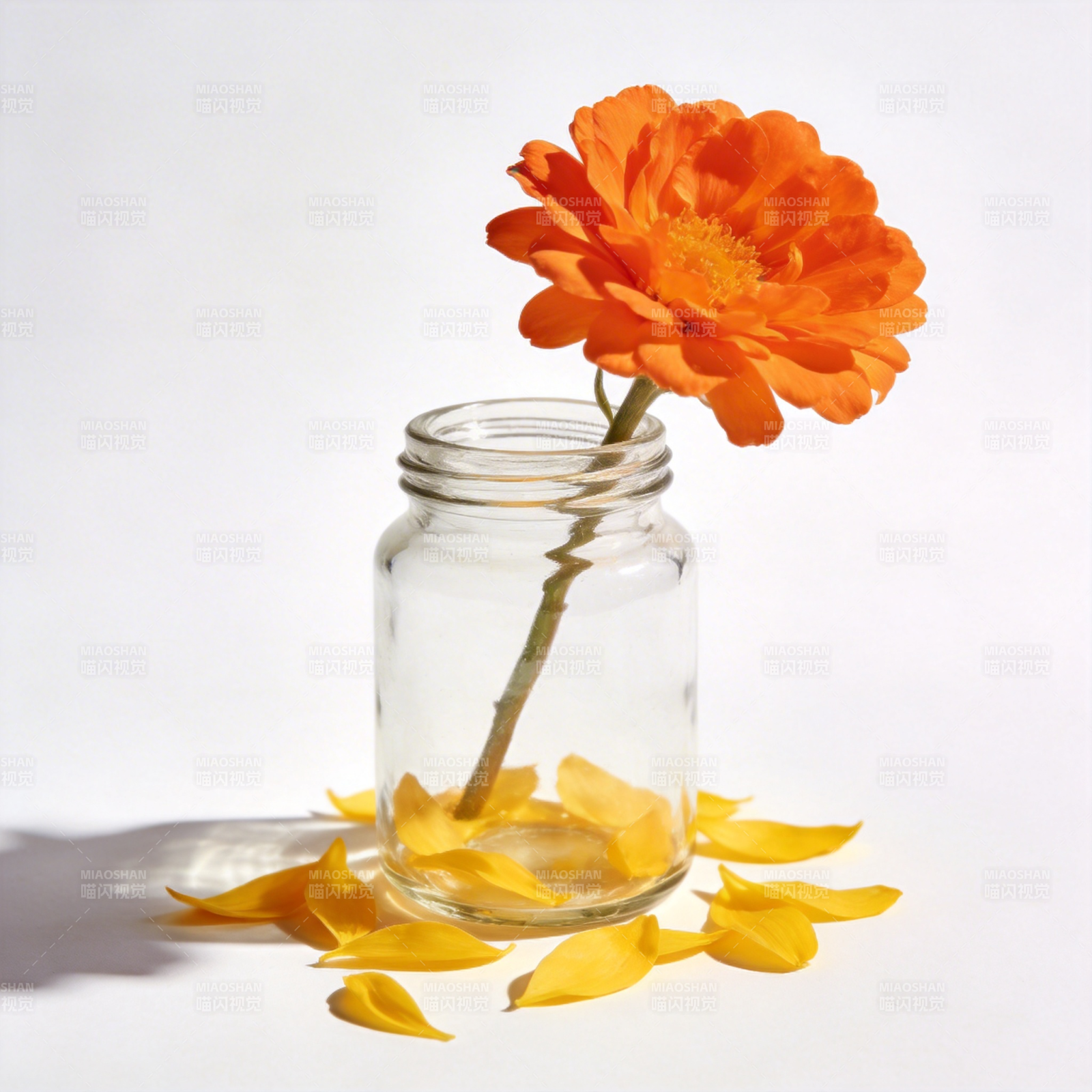 橙花瓶中绽放图片