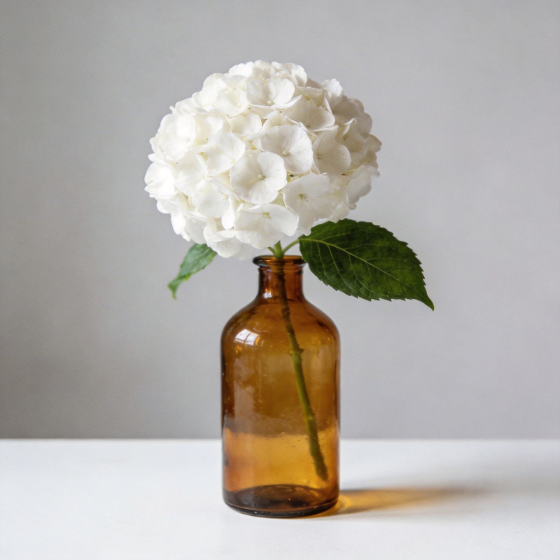 白花瓶中静谧绽放图片