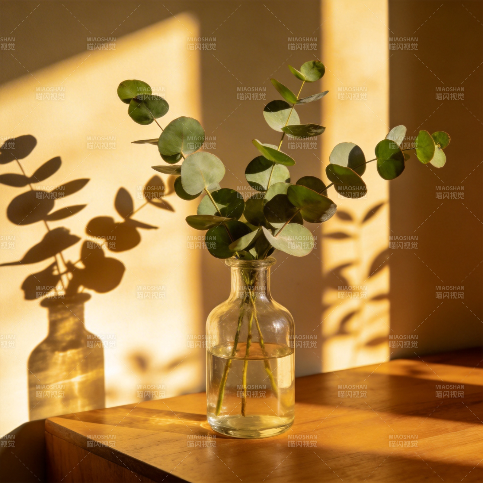 光影中的绿意图片