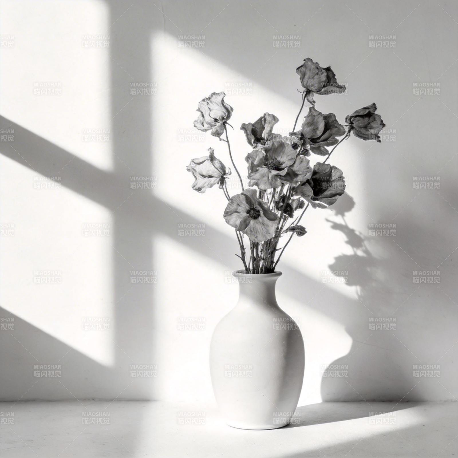 光影中的静谧花影图片