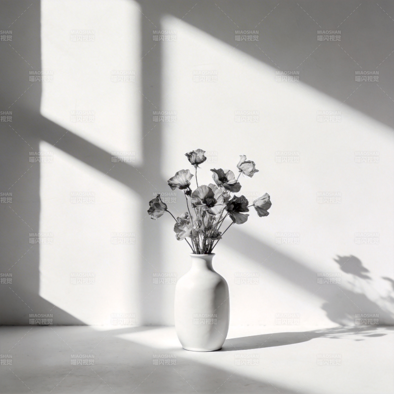 光影中的静谧花影图片