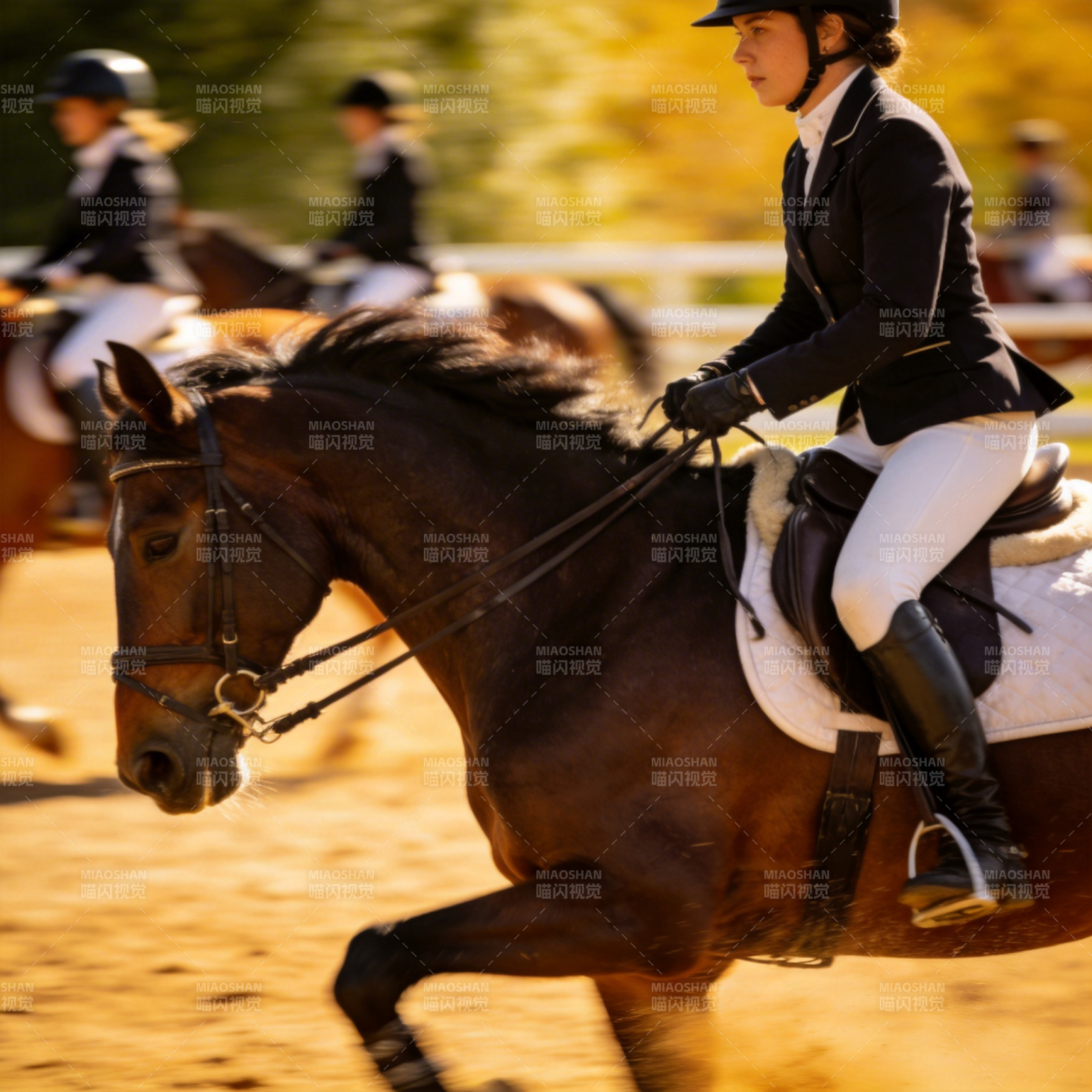 马术竞技瞬间图片